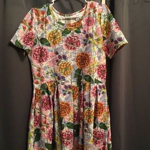 LuLaRoe Amelia Dress